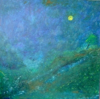luci notturne 