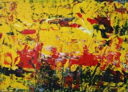 papaveri 70x50 2016
