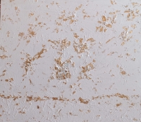 Polvere di stelle